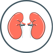 Nephrology