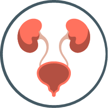 Renal pathology